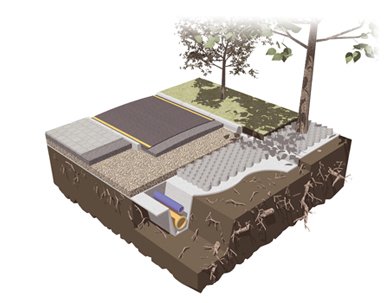 Terram geocell pevents damage to tree roots by spreading loads laterally
