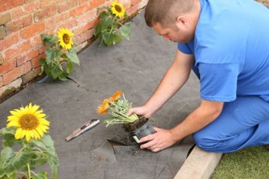 Weed Control