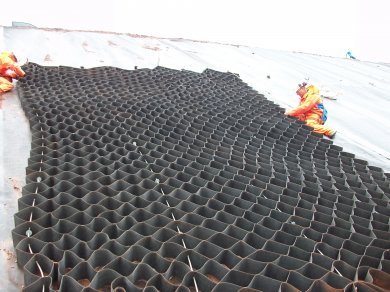 Geocells confine soil and vegetation