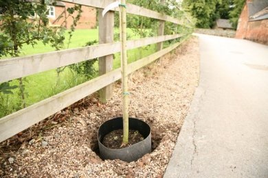 TERRAM India\'s root guard installed around a newly planted tree