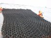 Geocells confine soil and vegetation